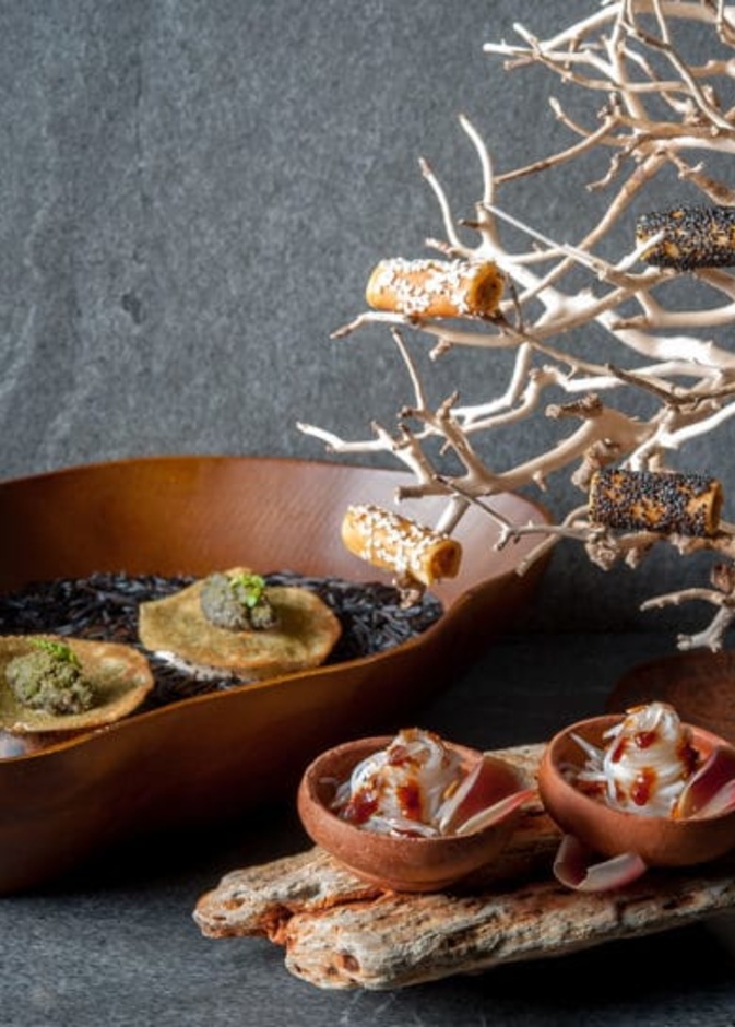 مطعم TAAN أطعمة من المزرعة إلى طاولة الطعام في المطعم