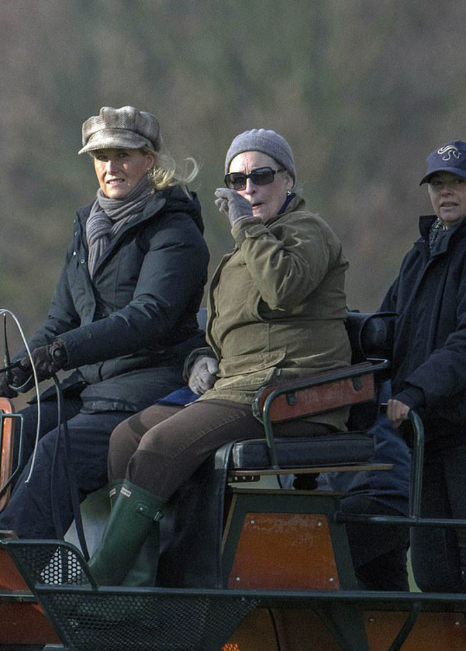 صوفي كونتيسة وسكس