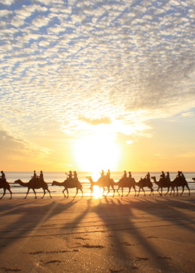 رحلة في شاطئ Whitehaven