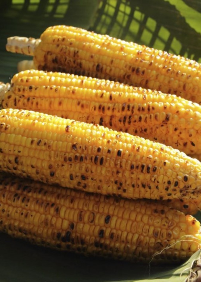 الذرة المشوية