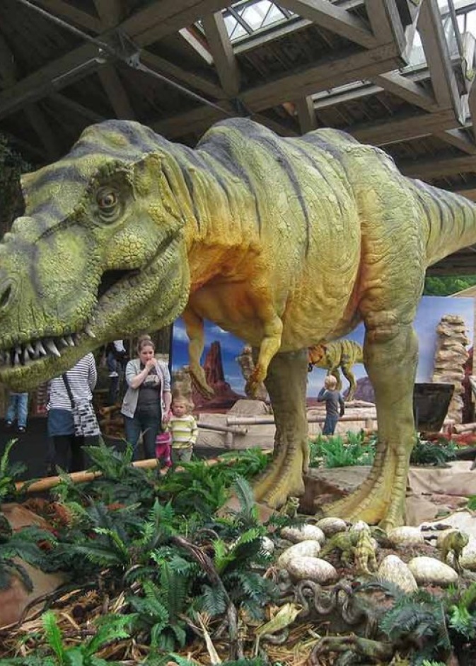 إركب القارب في بحيرة Stora Delsjön