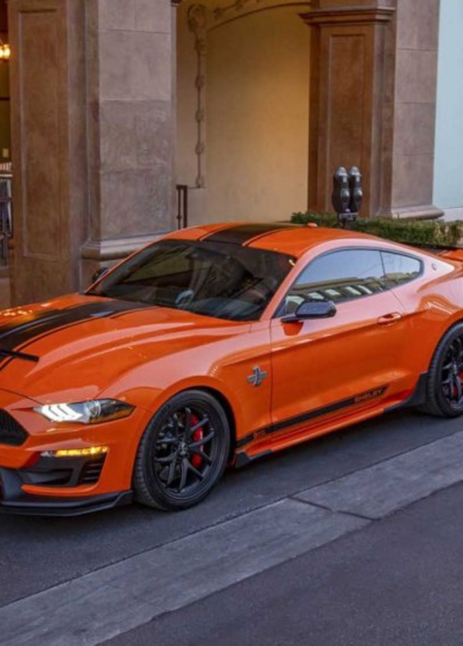 تأتي المقصورة ضمن خيارين من الفرش الأسود، بين المطعم باللون الأخضر، أو البرتقالي