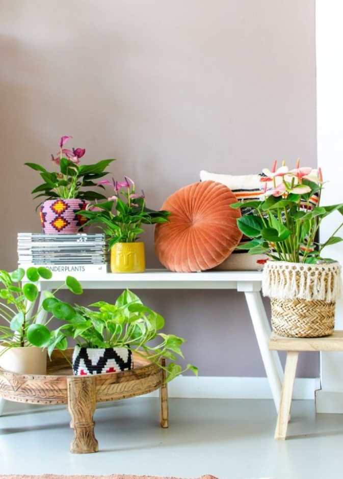 ديكور عصري لزوايا المنزل يتميز بأحواض النباتات