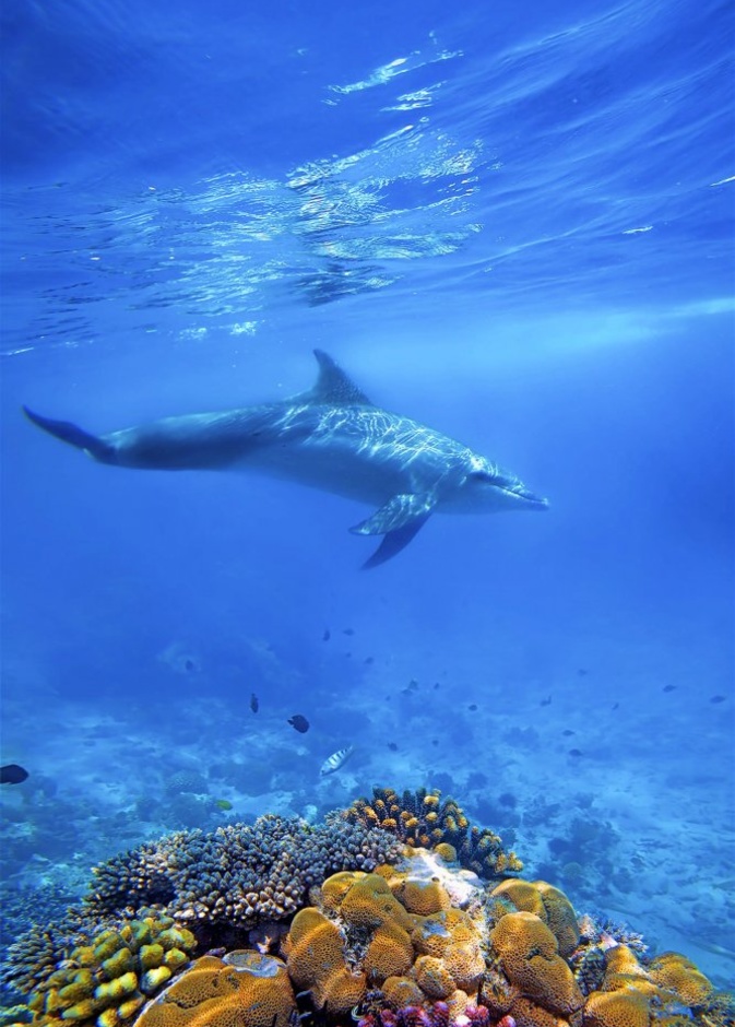 أفضل الجزر التي يمكنكم زيارتها في يناير 2020