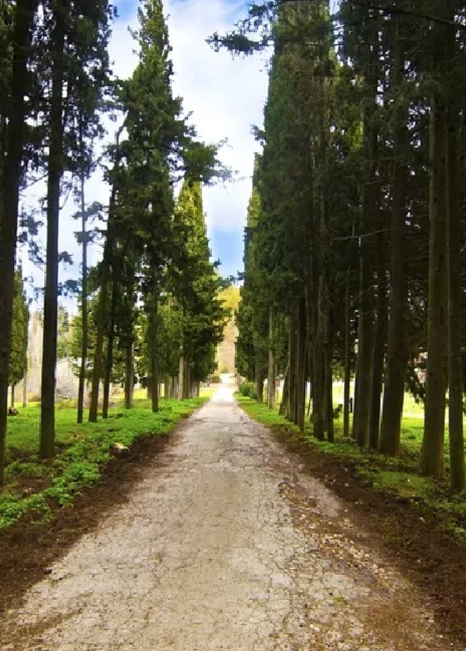 إستمتع بالمشي الجبلي في جبل بارنيثا