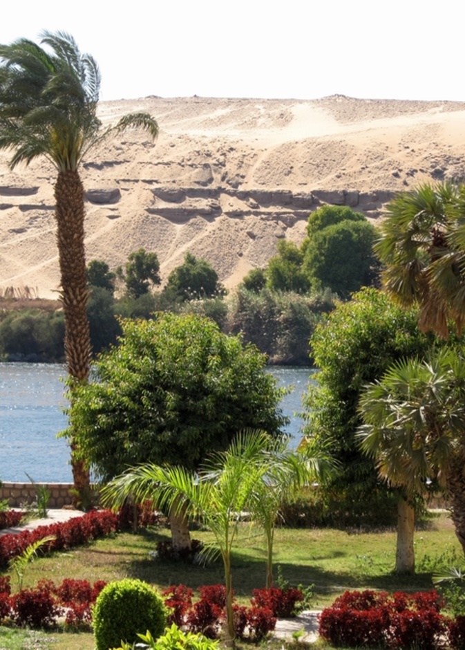 جزيرة النباتات
