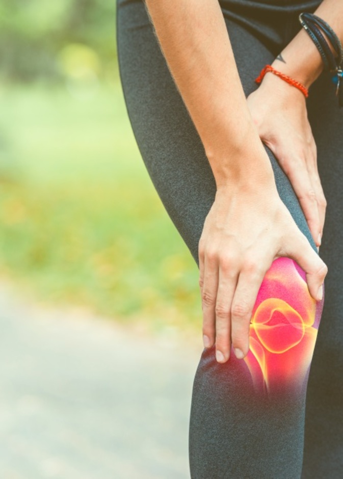 اطعمة تساعد على بناء الغضاريف في الجسم