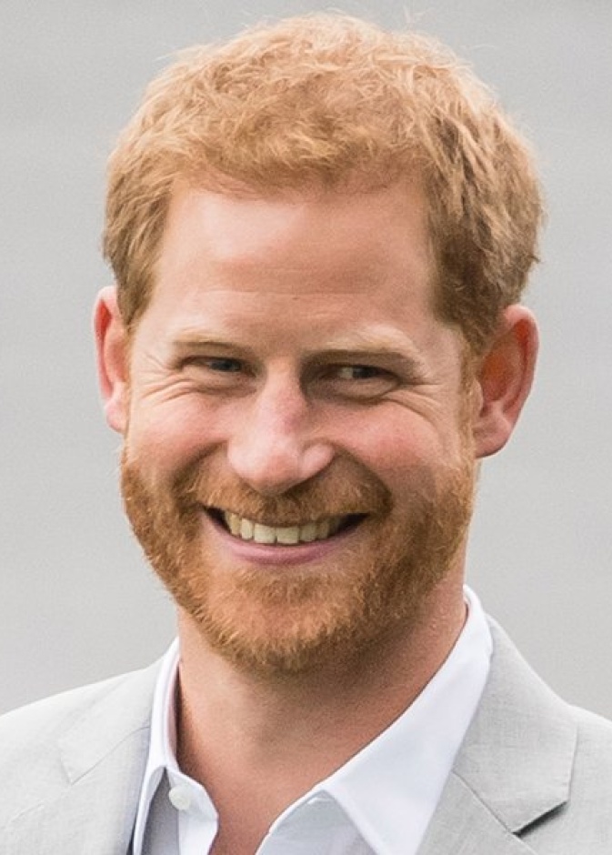 الأمير هاري يتلقى عرض عمل في الأرجنتين