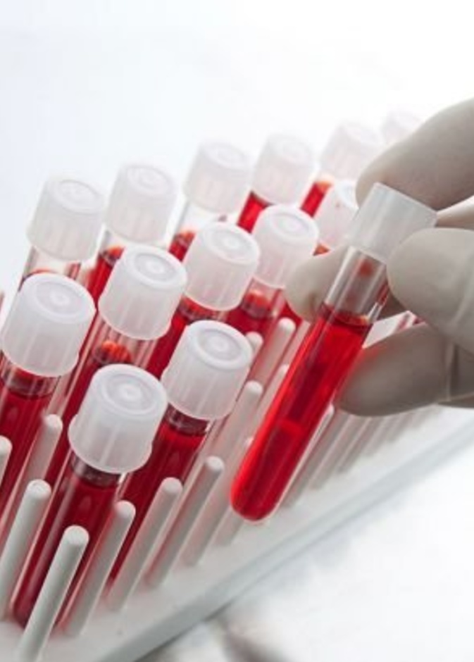 أمراض الدم الوراثية أمراض إلى الأبناء وتسبب الخلل الجيني