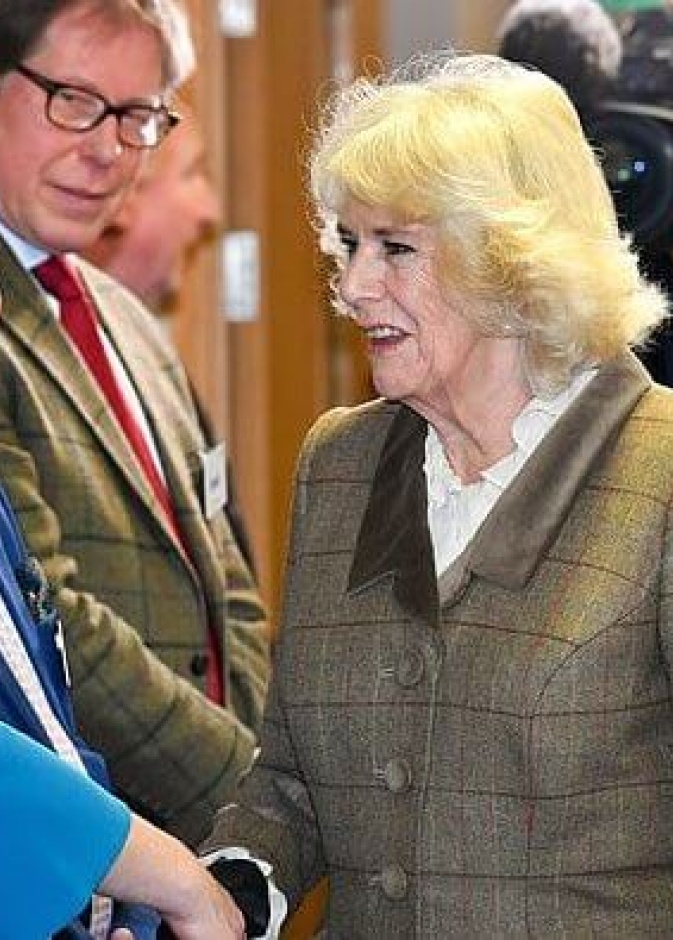 دوقة كورنوال