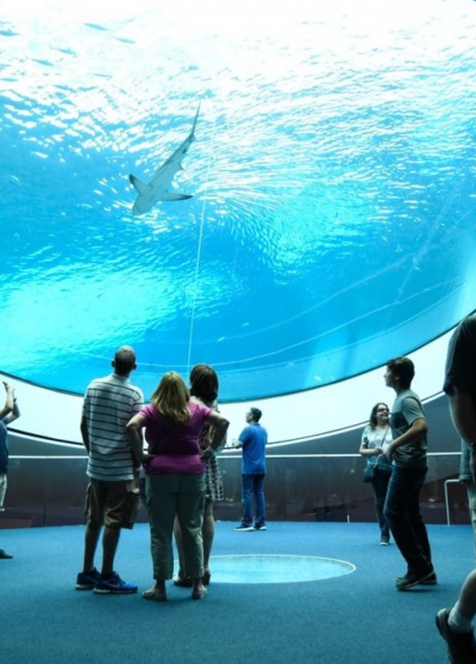 متحف باس للفنون (Bass Museum of Art) 