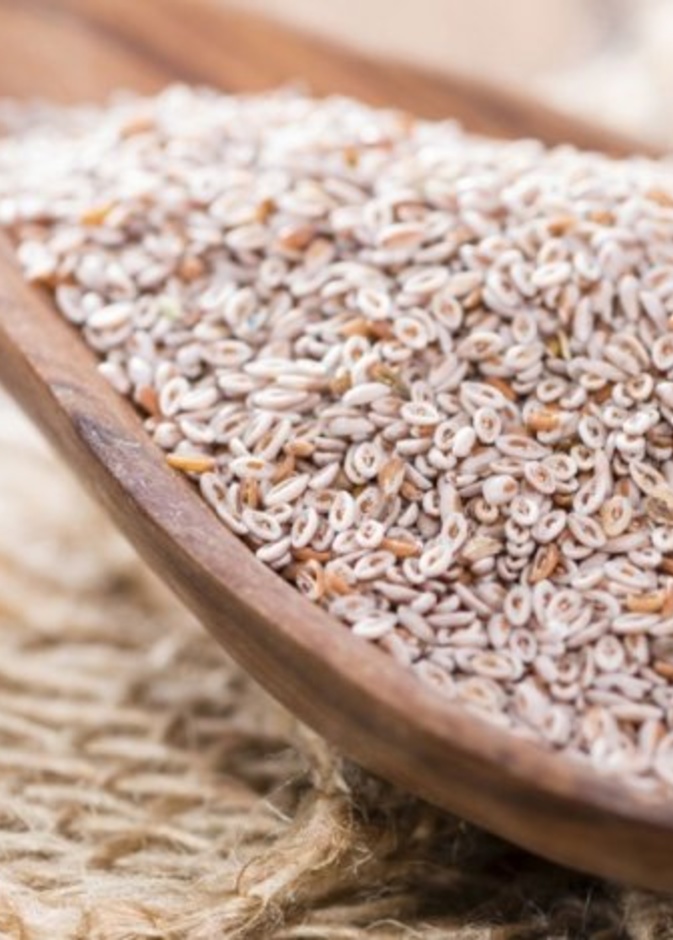 فوائد كثيرة لعشبة الاسبغول لانقاص الوزن