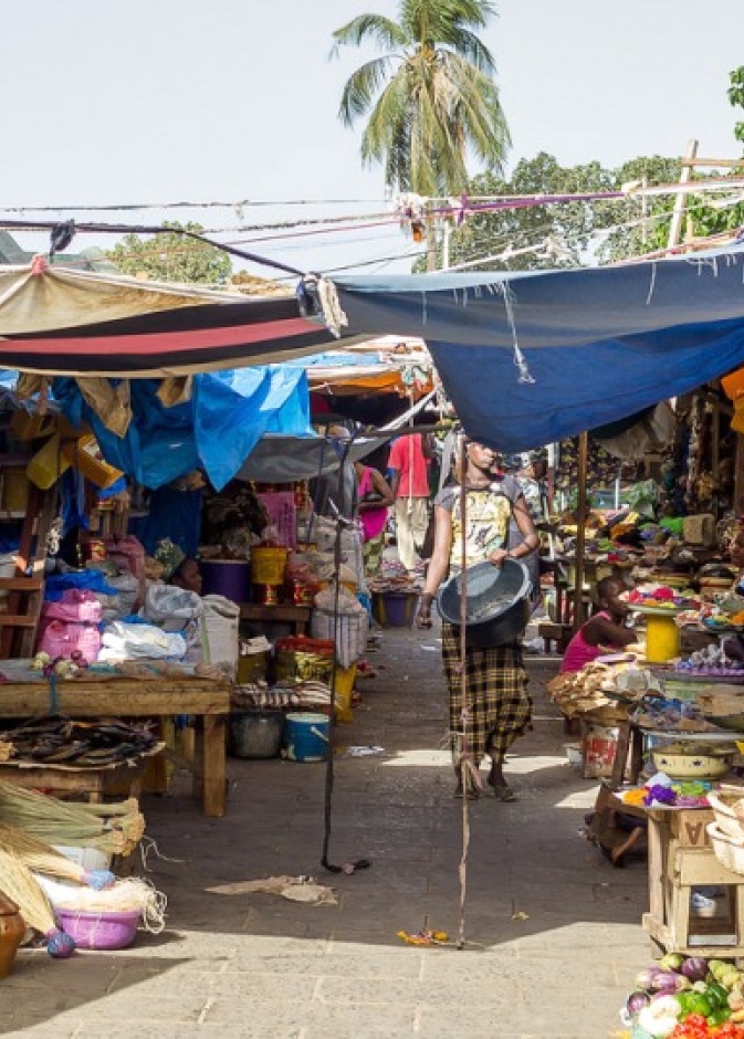 الحياة البرية في غامبيا