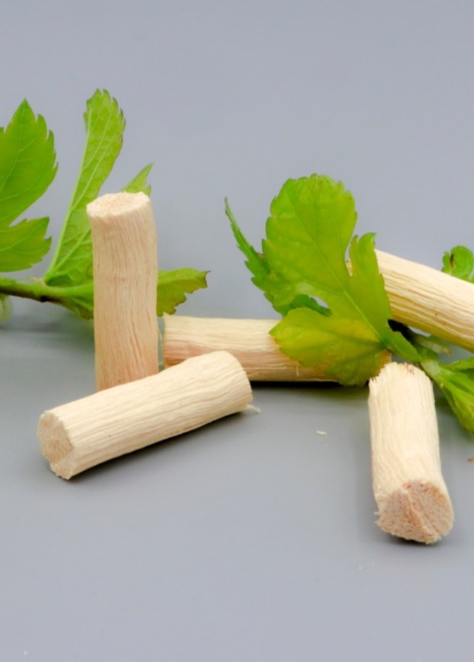 فوائد السواك لصحة الاسنان والفم