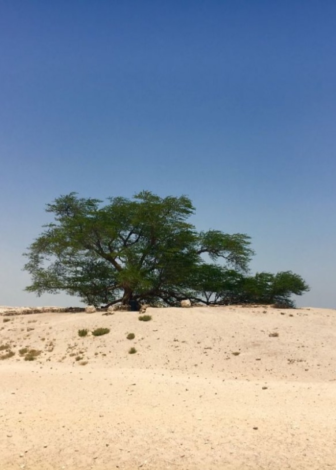  جبل الدخان (Jebel Al Dukhan)، المحافظة الجنوبية