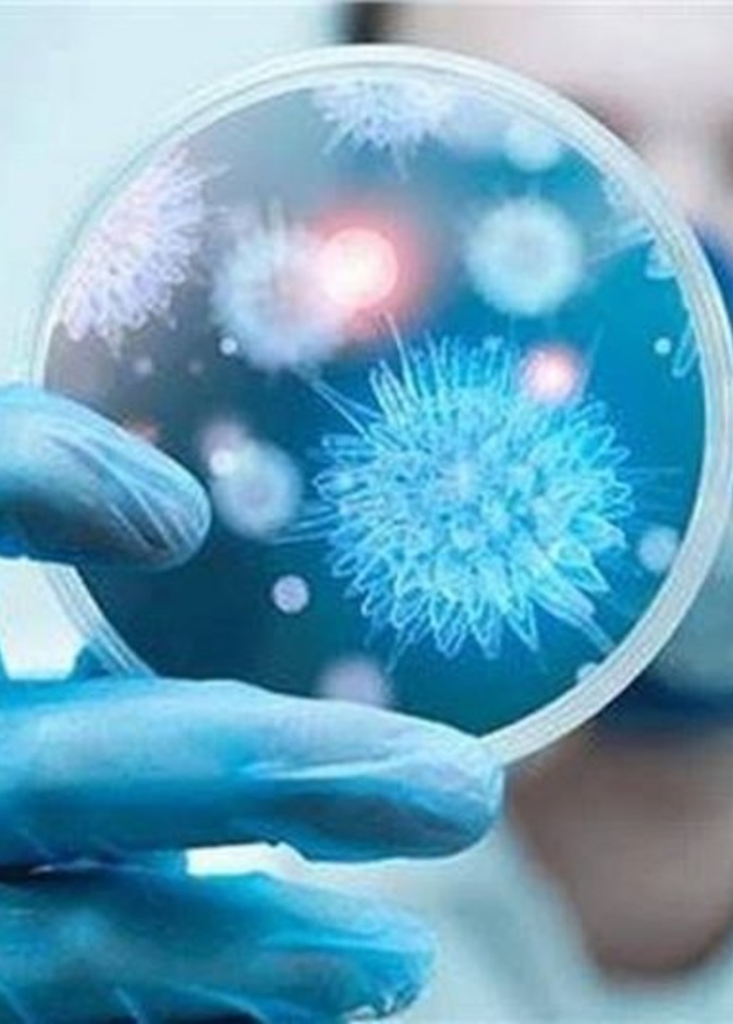 فيروس كورونا الجديد