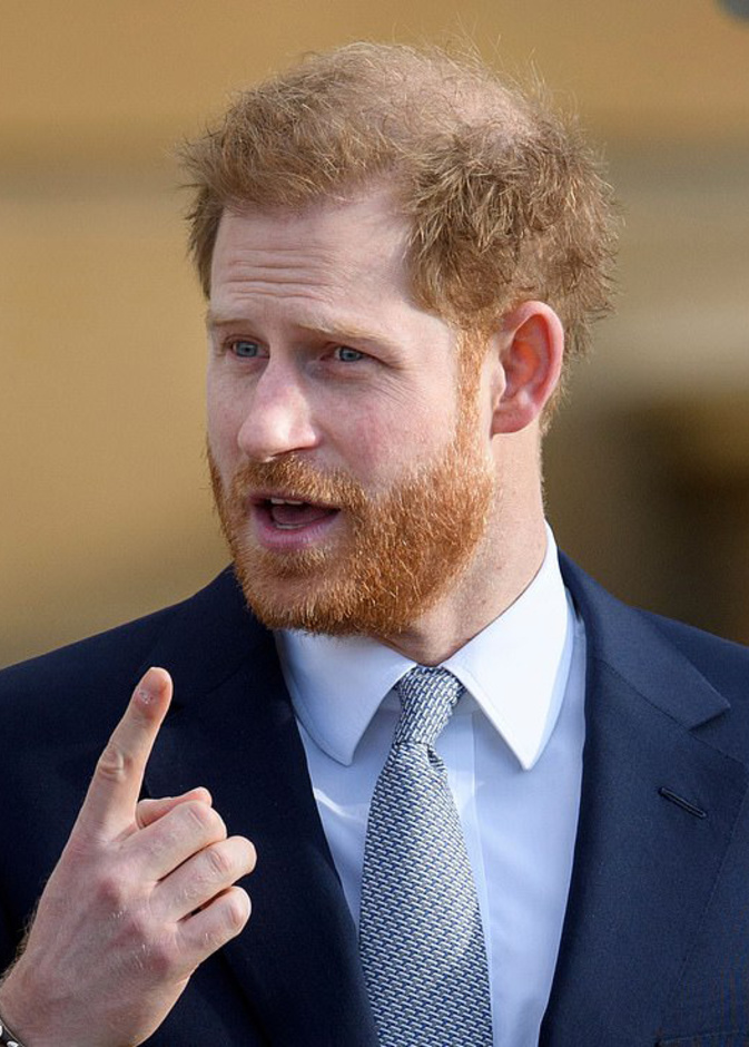  الأمير هاري 