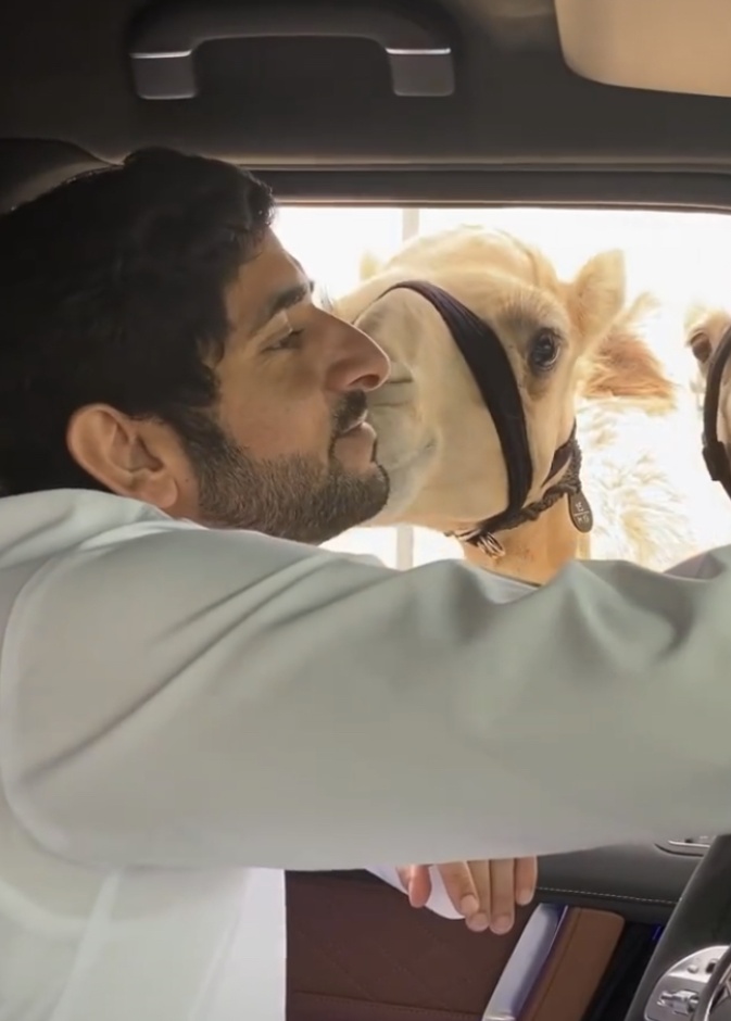 فزاع عاشق الحياة البرية يتلقى قبلة محبة من "إعمار"