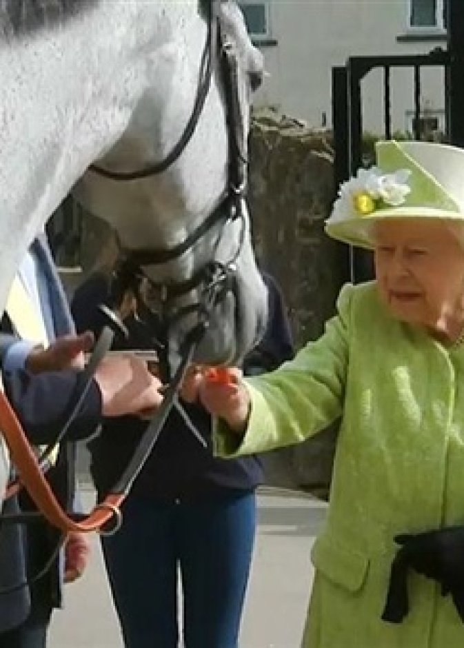 الملكة إليزابيث الثانية تطعم حصان في سومرست بغرب إنجلترا