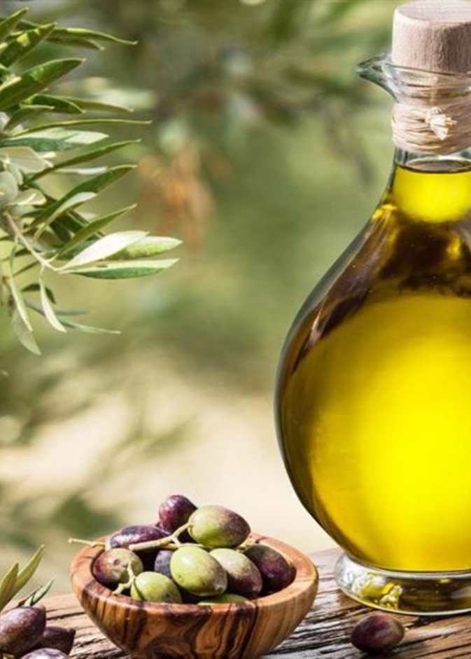زيت الزيتون عنصر القوة في النظام المتوسطي