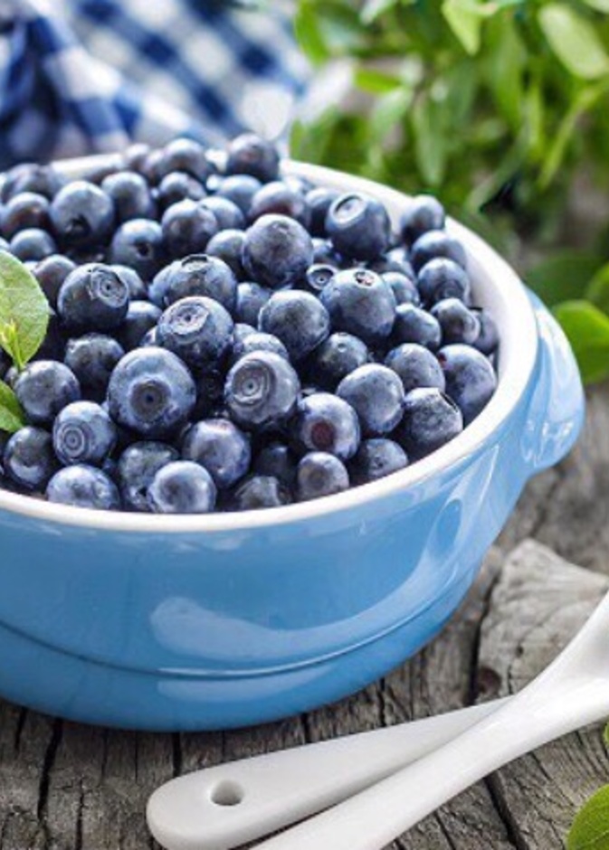  التوت الأزرق يقي من السرطان