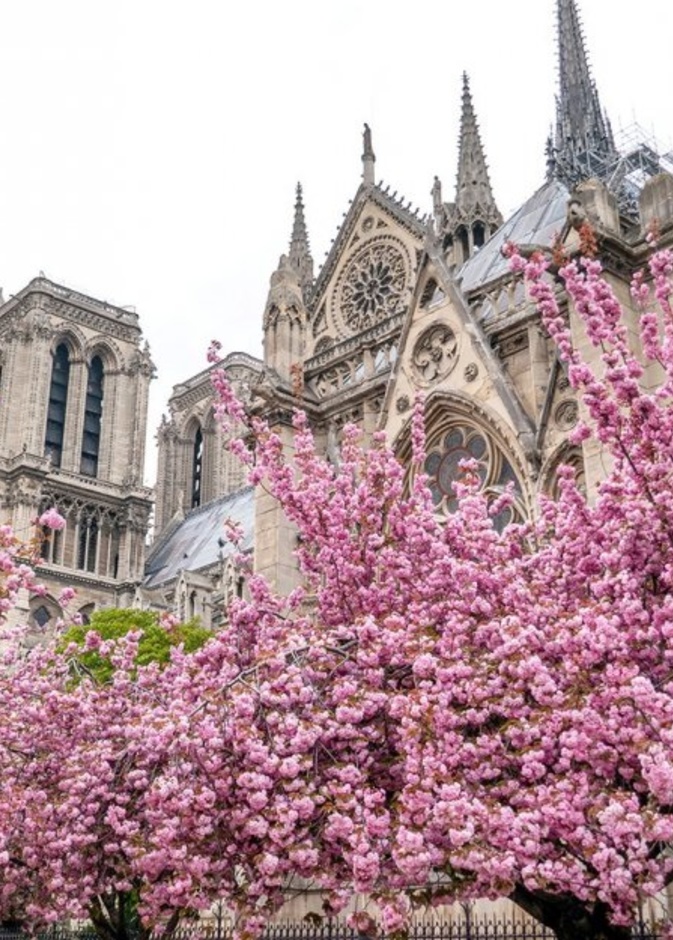 الربيع في باريس.. بين افضل وجهات سياحية اوروبية