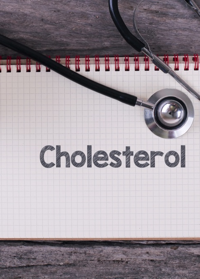 لماذا يحتاج الجسم الى الكوليسترول