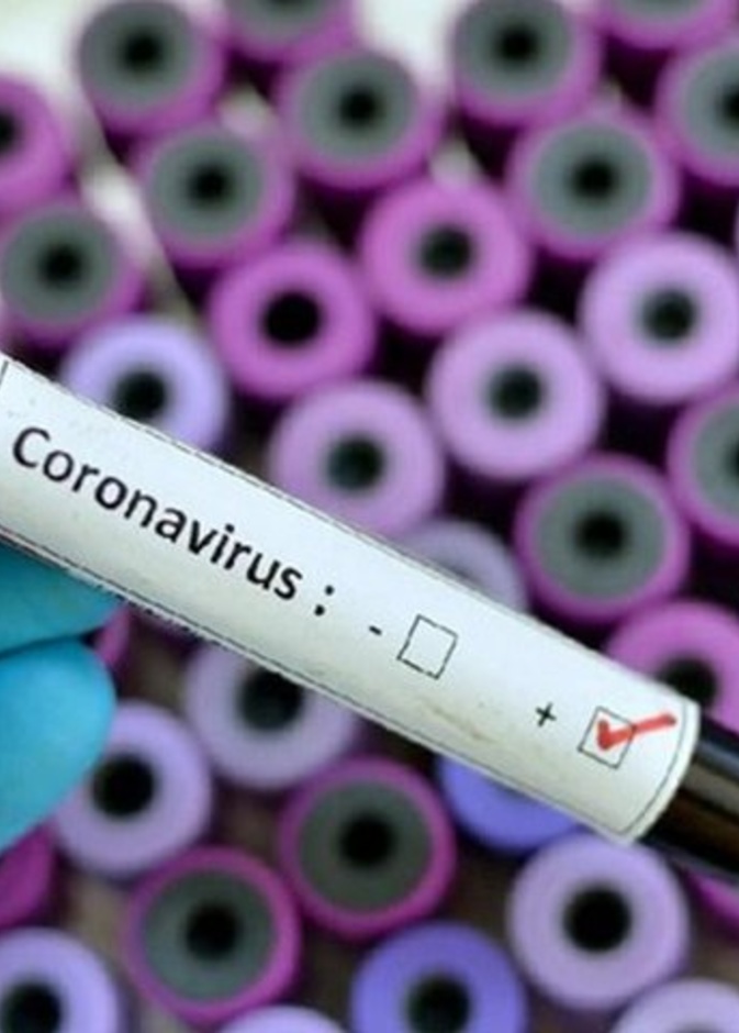 فيروس كورونا