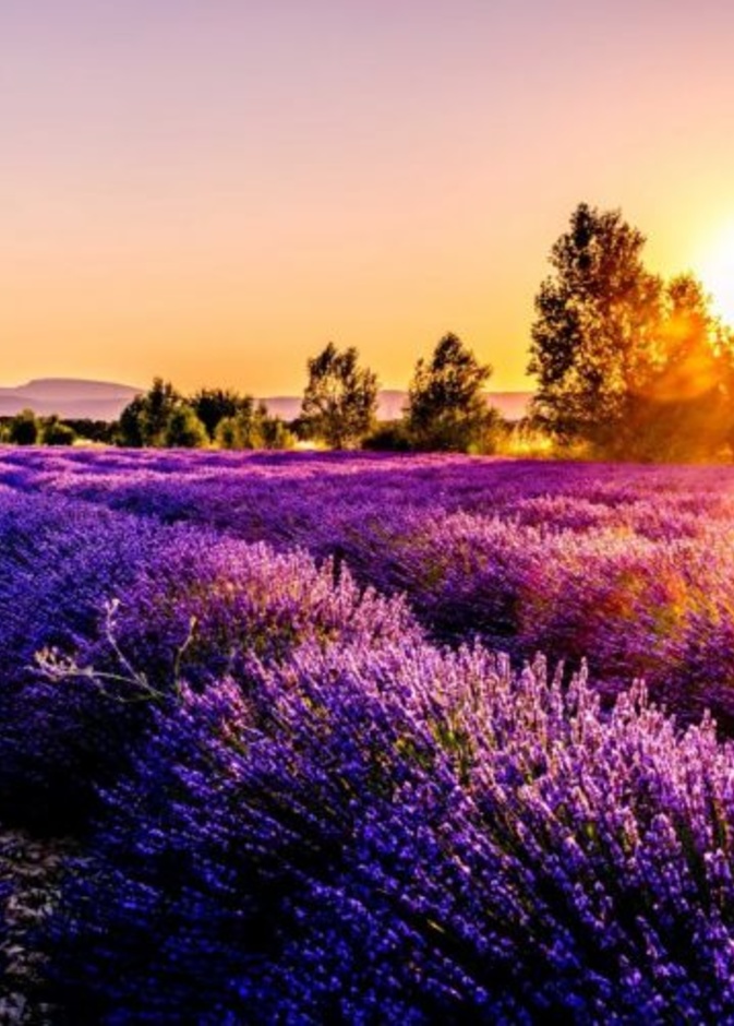 اجازة الربيع.. اليكم ابرز نصائح السفر