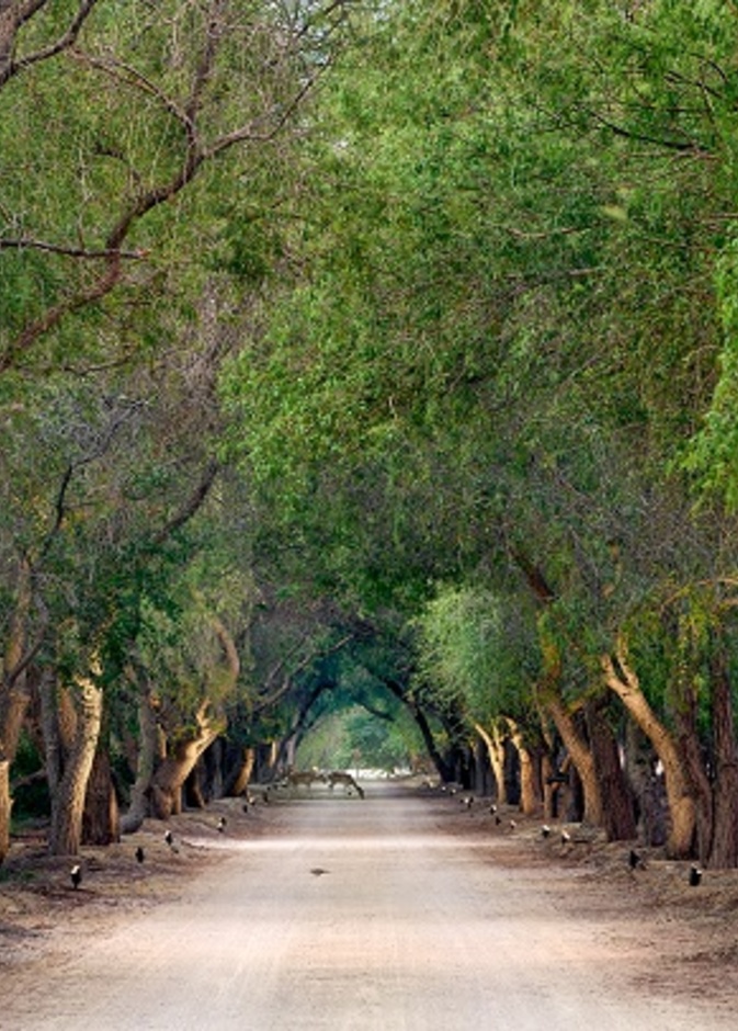 "الجرف" وجهة ساحلية مستوحاة من التراث الإماراتي العريق