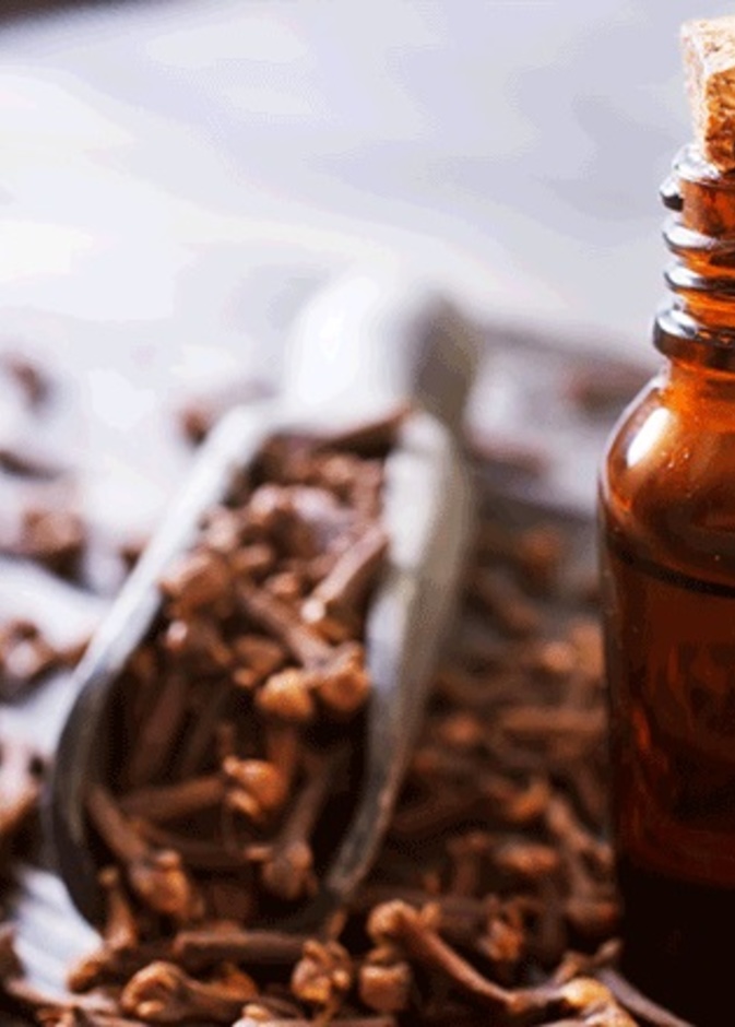 زيت القرنفل يقاوم الأمراض الالتهابية