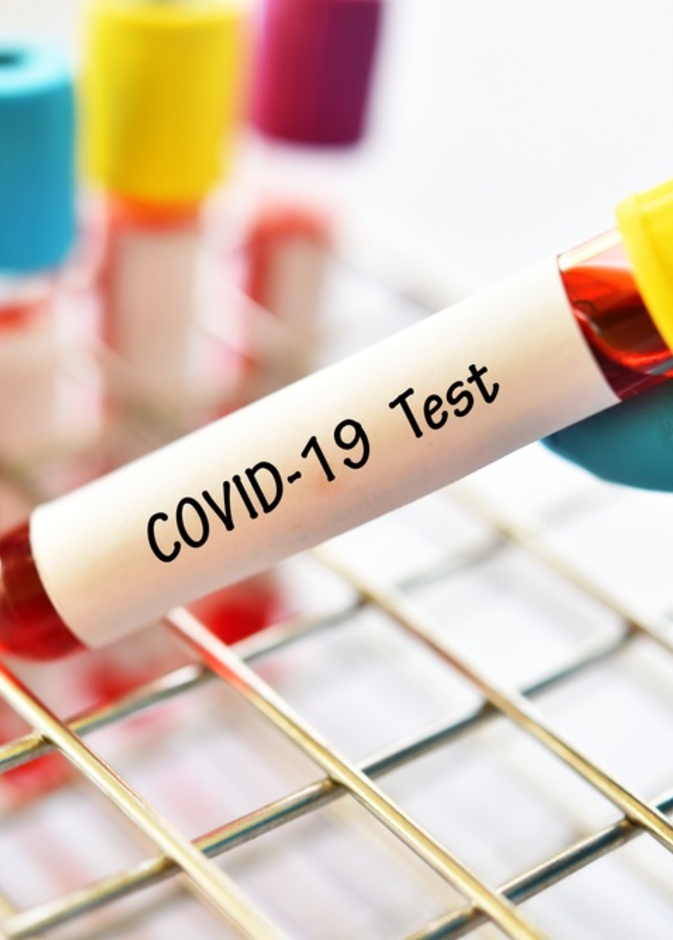 كيفية مهاجمة فيروس كورونا الجديد الجسم 