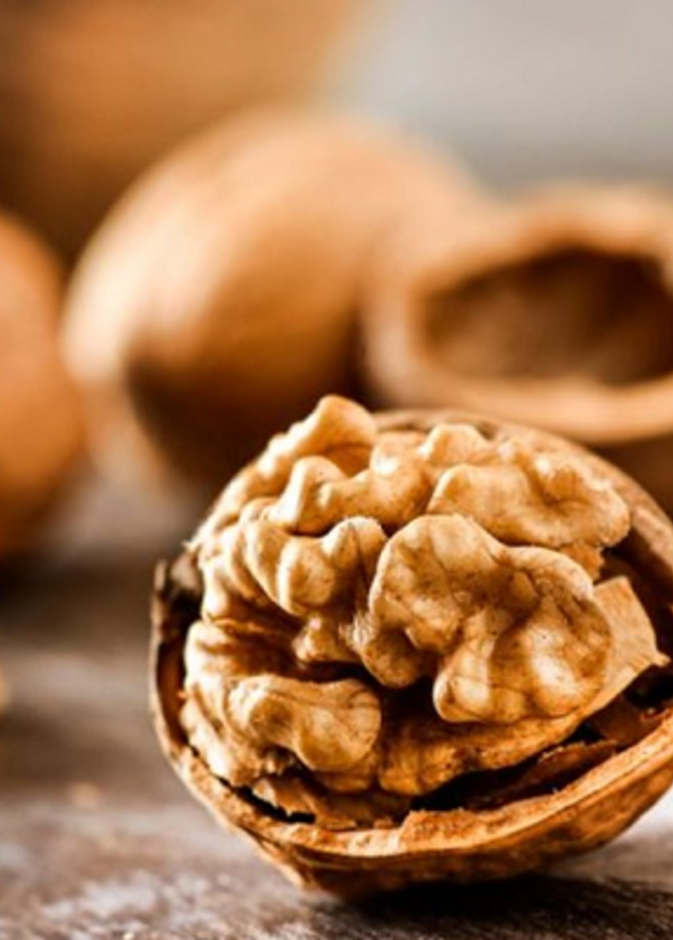 الجوز يعزز صحة الدماغ وهو يشبهه في الشكل