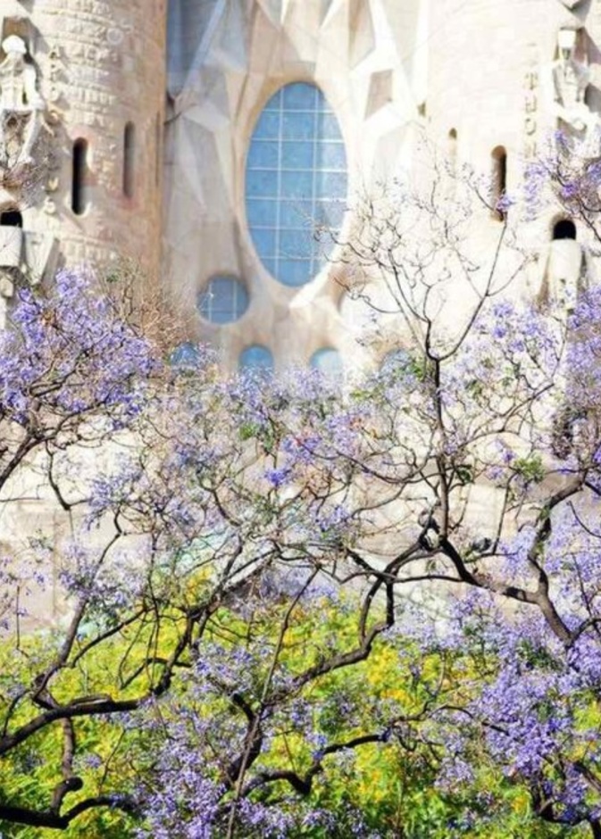 اجمل انشطة سياحية في برشلونة في الربيع
