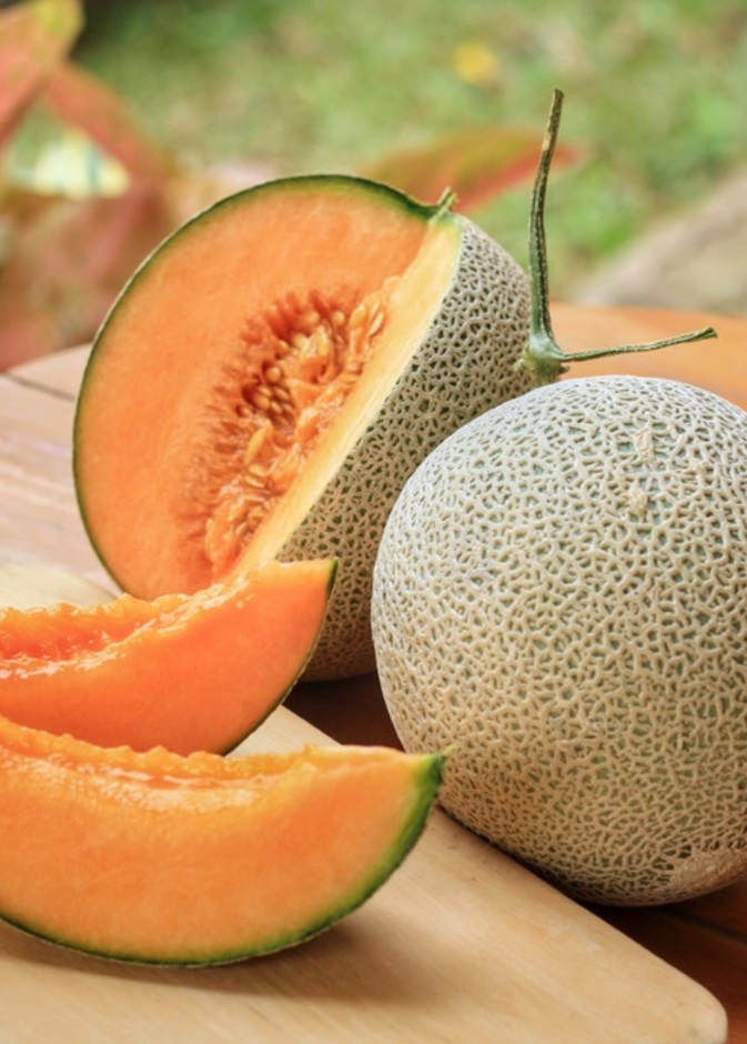 اهم فوائد الشمام الصحية و العلاجية