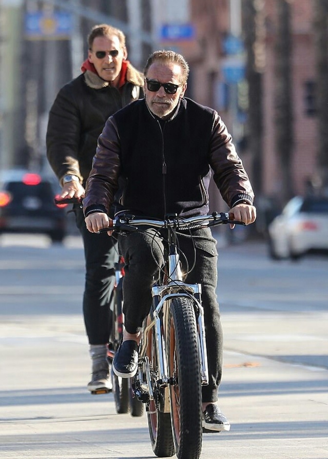 أرنولد شوارزينجر 