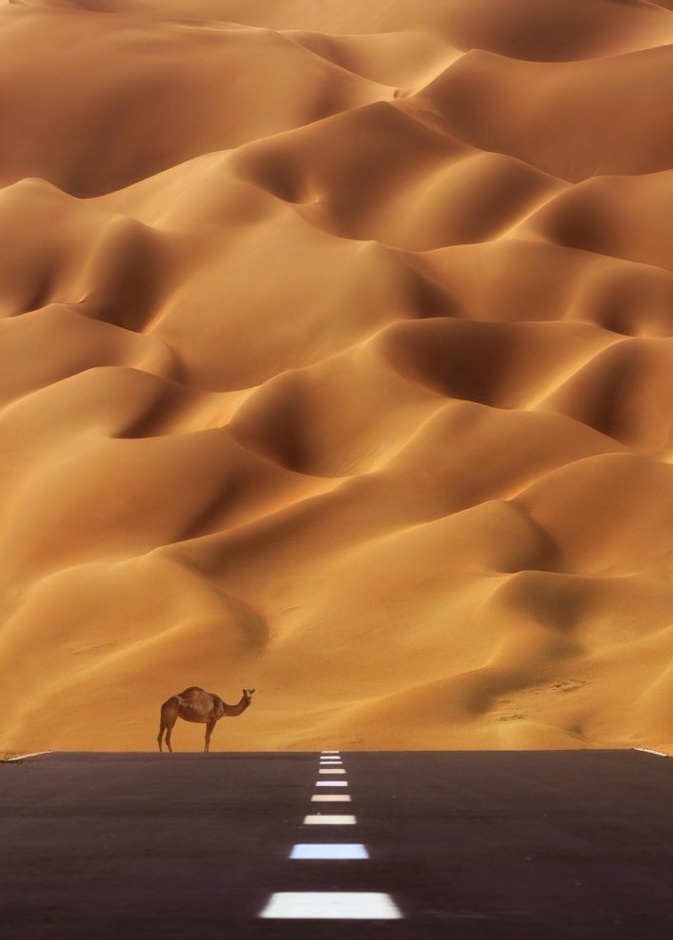 أجمل الصور والمناظر الطبيعية للصحراء من حول العالم 