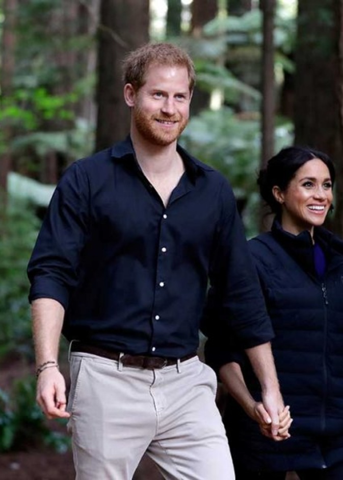 مستقبل الأمير هاري وميغان ماركل بين سؤال وجواب