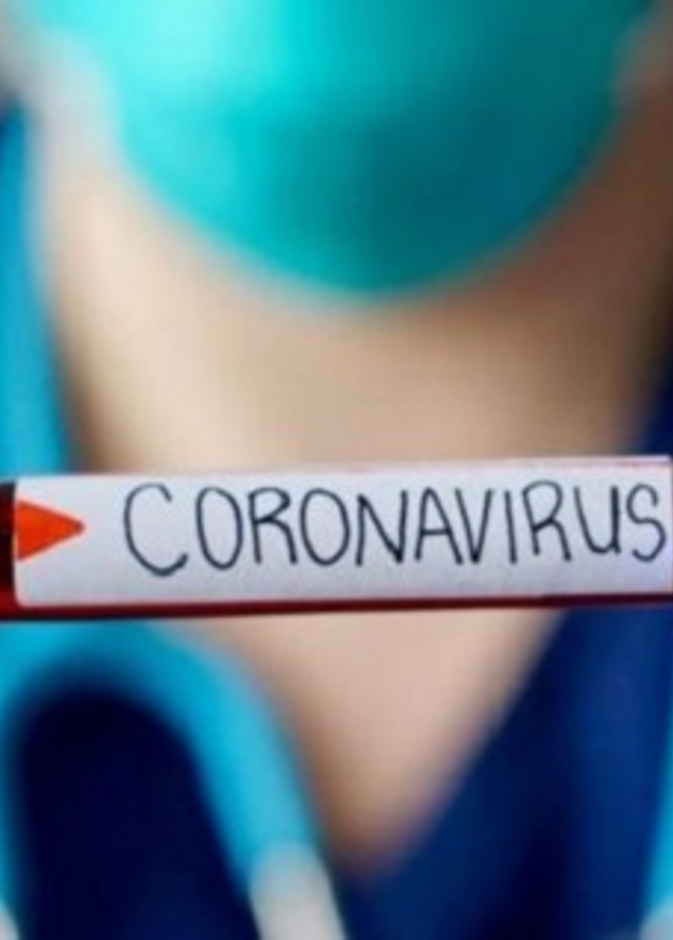  سلالات جديدة من فيروس كورونا