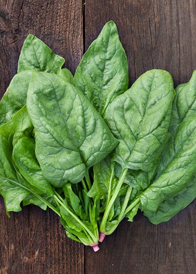  السبانخ يعزز مناعة الجسم