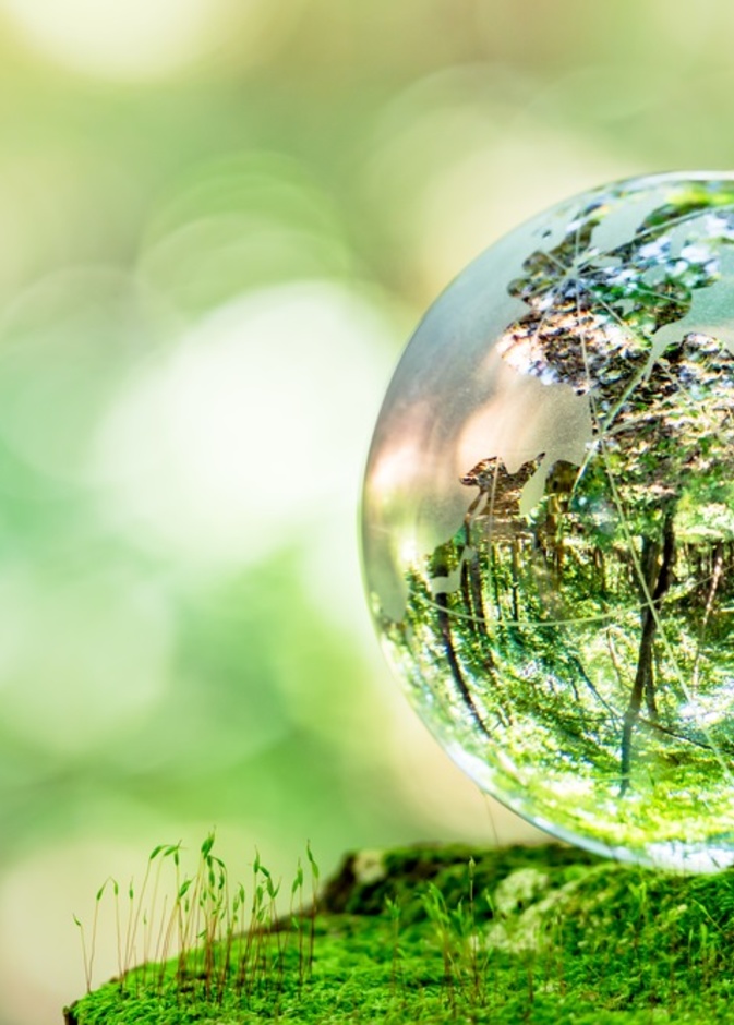 تعافي طبقة الاوزون والأرض من إيجابيات فيروس كورونا