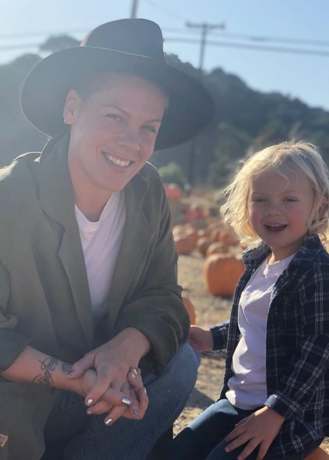 المطربة الامريكية "بينك"