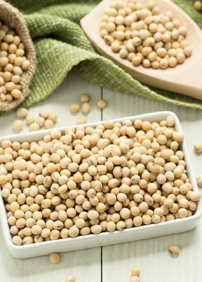 فول الصويا يسهم في تقوية عضلة القلب