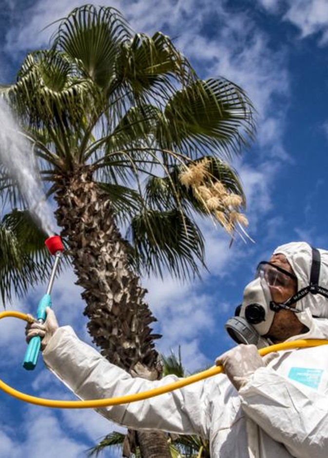 التغيرات في الطقس تؤثر على انتشار كورونا