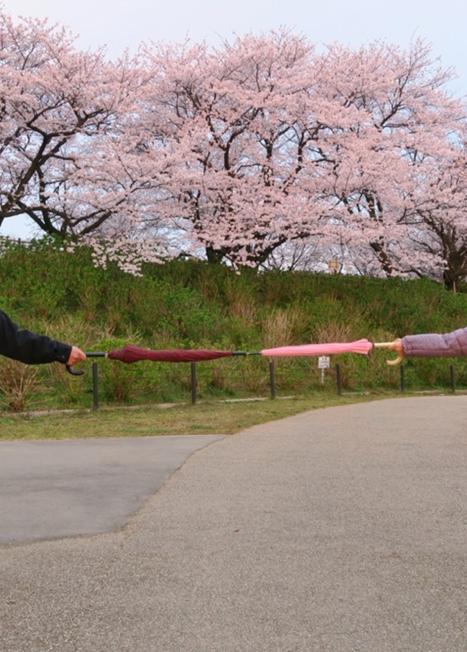 التباعد الاجتماعي مهم للوقاية من انتشار فيروس كورونا