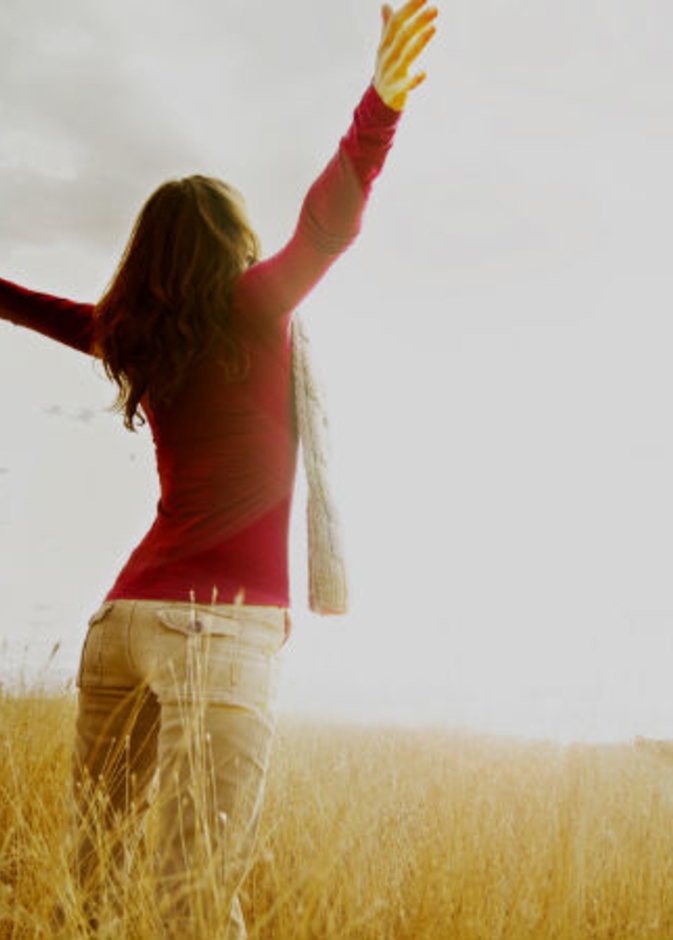 الجهاز المناعي شبكة معقدة من الأعضاء و الفيروسات و البكتيريا