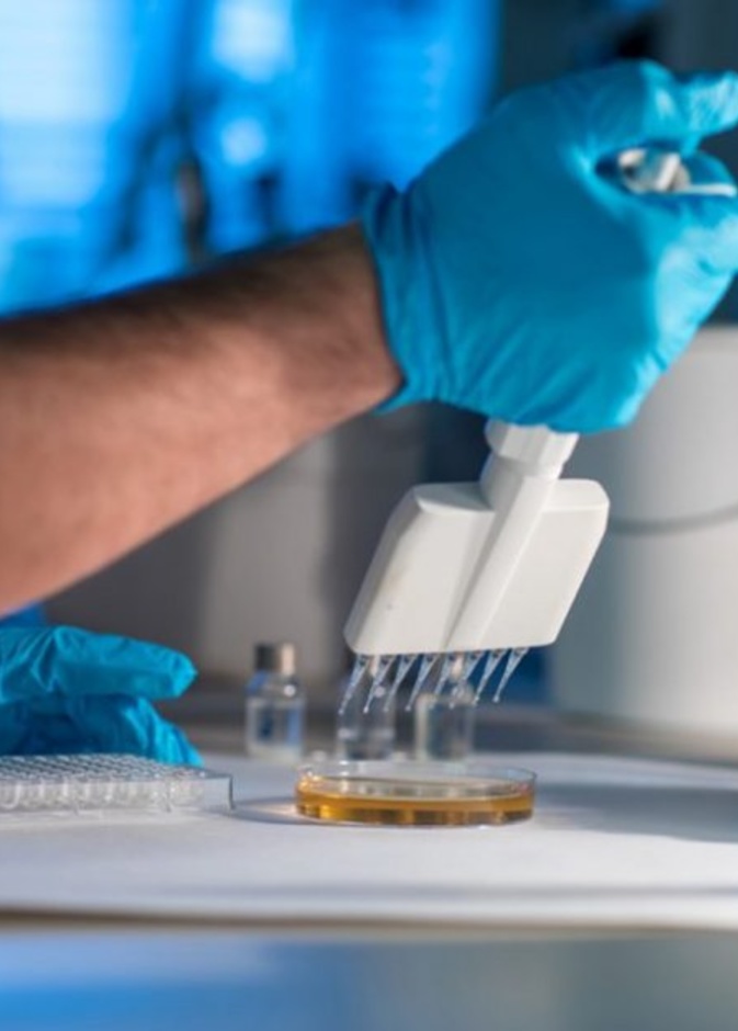 دول العالم تسعى للوصول إلى علاج لفيروس كورونا