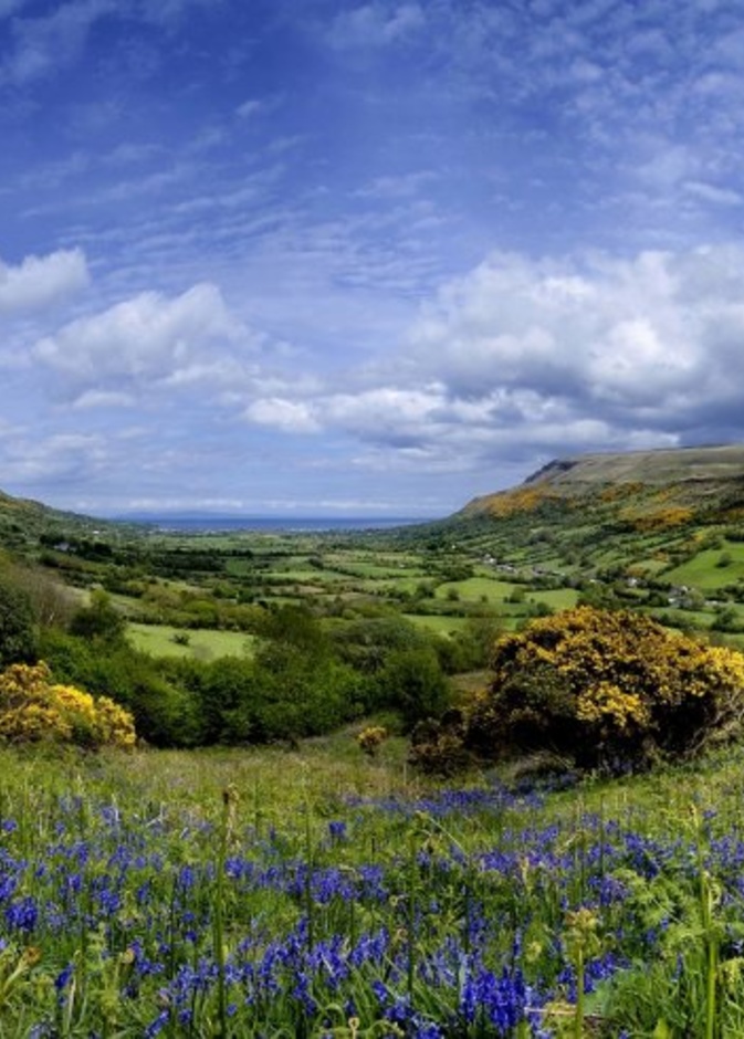 ساحل بورتستيوارت ستراند