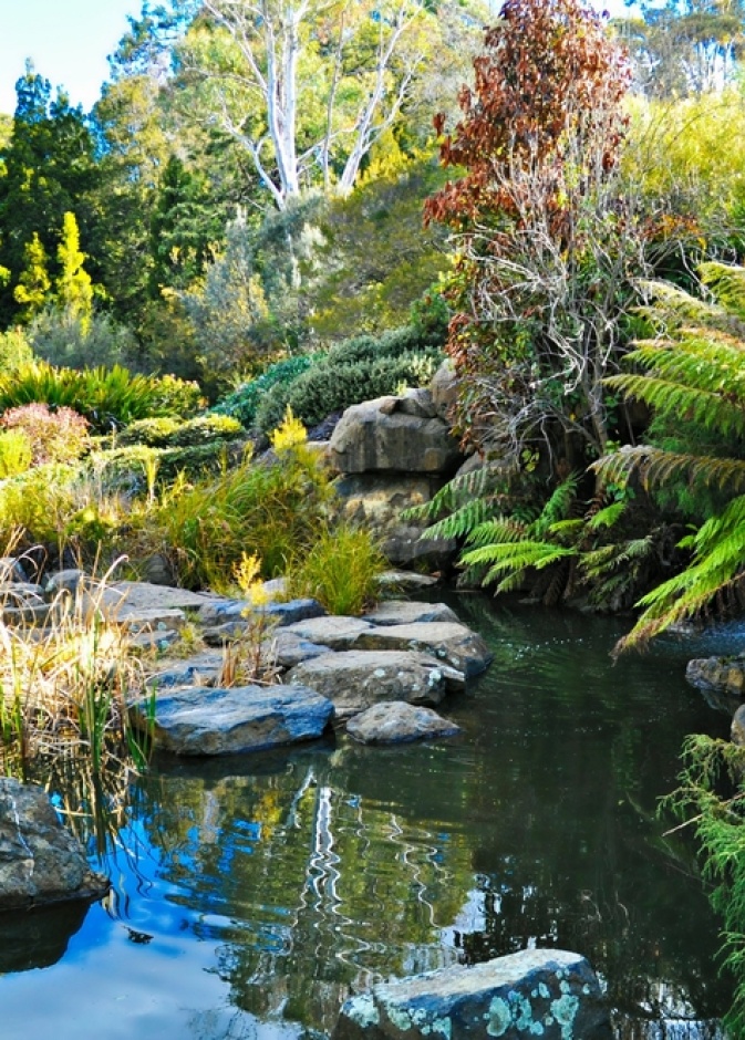  الحدائق النباتية الوطنية الأسترالية Australian National Botanic Gardens، كانبيرا