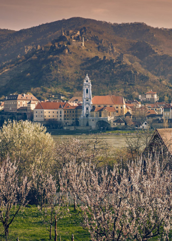 اكتشفوا ثقافة وطبيعة النمسا الخلابة مع الجولات الإفتراضية